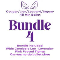 Bundle 4 – Image 2