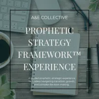 Prophetic Strategy Framework™ Experience – Image 1