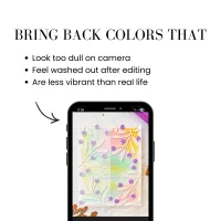 Color Booster Add-on – Image 2