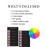 Color Booster Add-on – Image 4