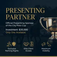 PRESENTING PARTNER ( 4 Spaces available) – Image 2