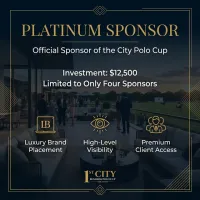 PLATINUM SPONSOR  – Image 2