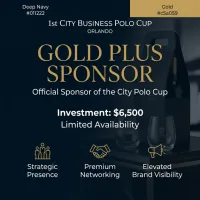 GOLD SPONSOR  – Image 2