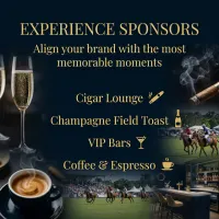 EXPERIENCE SPONSORS  (4 Spaces available) – Image 2