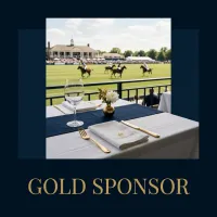 GOLD PLUS SPONSOR  – Image 1