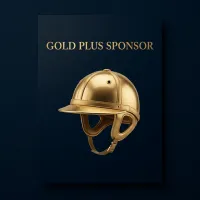 GOLD SPONSOR  – Image 1