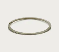 Protec Retaining Ring – Image 1