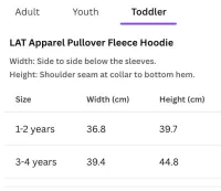 Toddler Hoodie - 25 Years of Dance Special Edition PRE ORDER* – Image 3