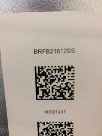 Blomberg BRFB21612SS 16.1 Cu. Ft. Bottom Freezer Refrigerator – Image 4