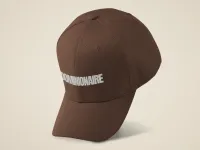 Hat - Dominionaire – Image 6