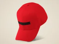Hat - Dominionaire – Image 4