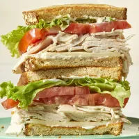 Turkey Sandwich – Image 1