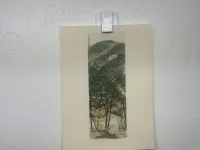 Chinese Green Painting Prints – Image 14