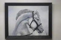 Framed White Horse Portrait Wall Art Local Artist Juan Baldor – Image 1