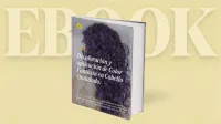 E-Book: Decoloración y aplicación de Color Fantasia en Cabello Ondulado – Image 1