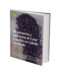 E-Book: Decoloración y aplicación de Color Fantasia en Cabello Ondulado – Image 2