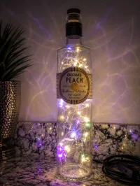 Orchard Peach Liqueur Bottle Lamp – Handcrafted Ambient Décor – Multi-color, Light