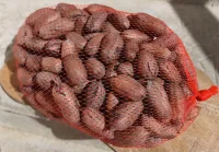 Noix de Pécan — 1 kg – Image 3