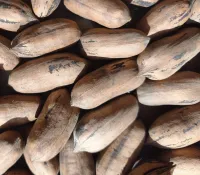 Noix de Pécan — 1 kg – Image 2