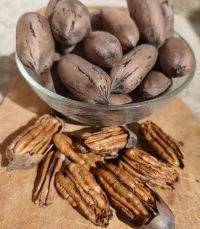 Noix de Pécan — 1 kg – Image 1