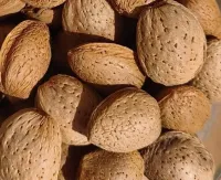 Amande Marcona — 1 kg – Image 2