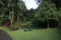 Hilot Practitioner Level 1 - Honolulu - September 9-16, 2026 – Image 3