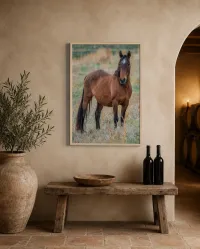 Burona – Image 2