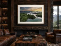 Where Still Lives – Image 4