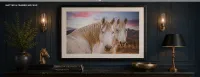 Grace Together – Image 4