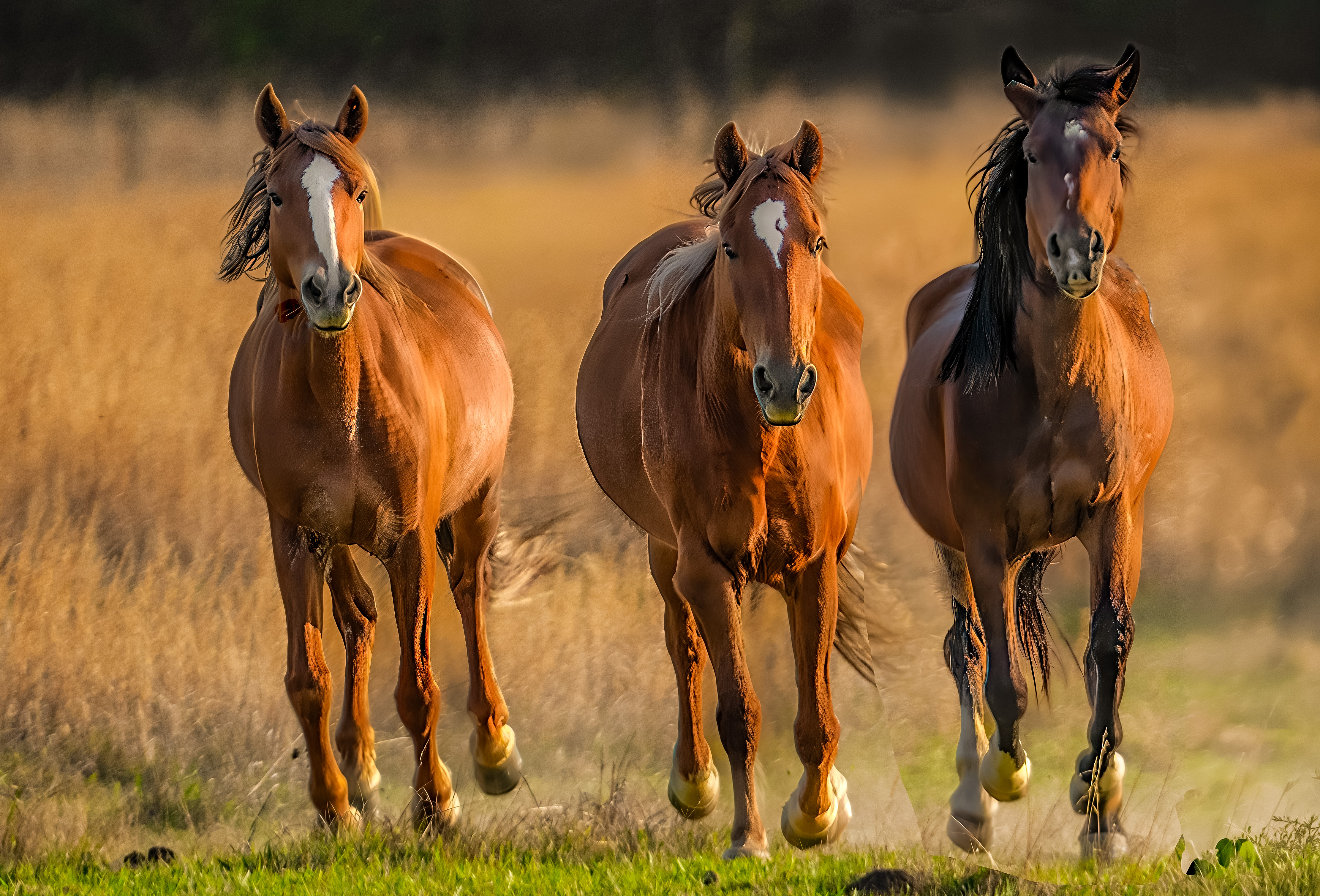 Three spirits, one direction – Image 1
