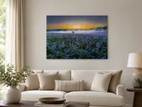 Bluebonnet Morning – Image 3