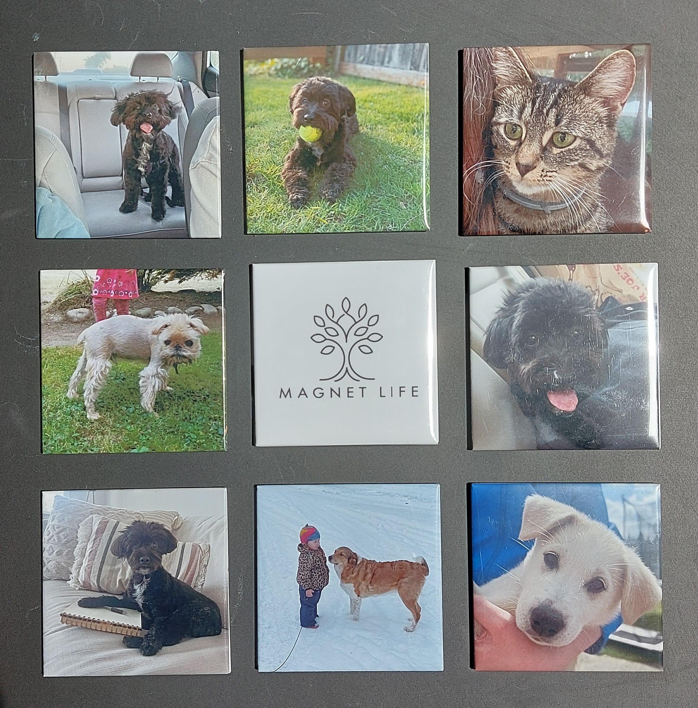 Custom Photo Magnets – Image 3