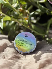 Dandelion Salve – Image 1