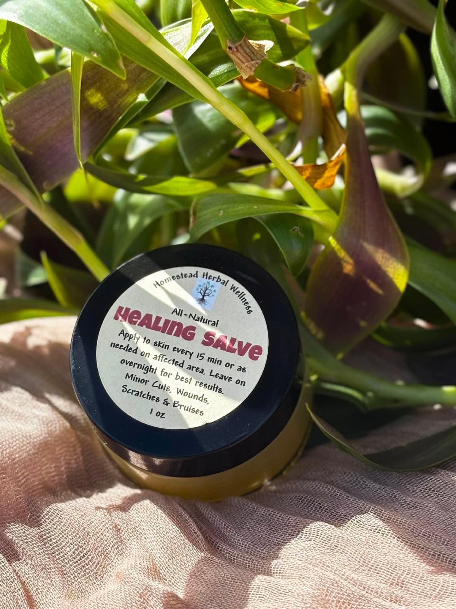Healing Salve – Image 1