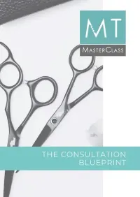 Consultation Blueprint – Image 1