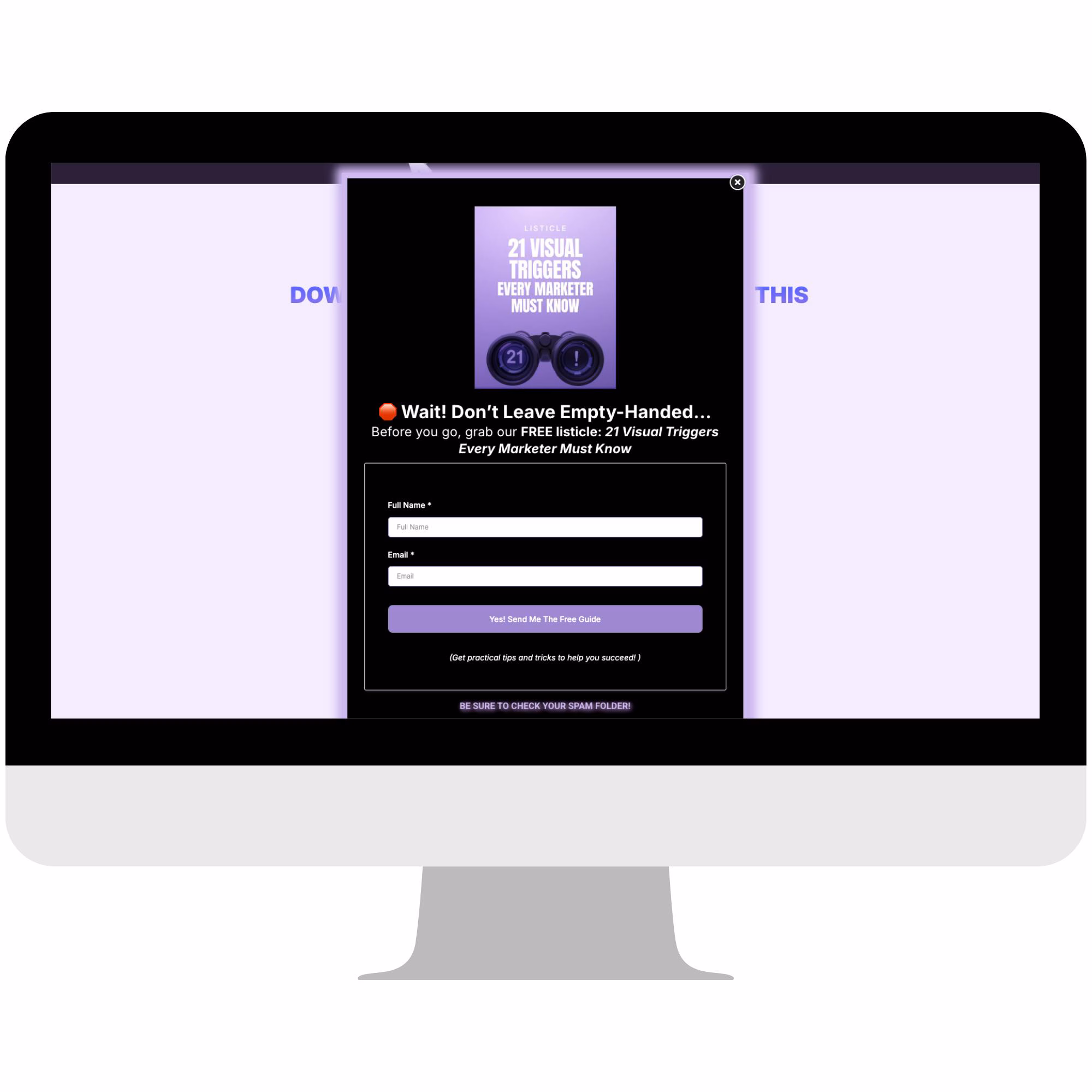 Digital Product Snapshot – Image 2