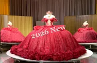 Alta Sweetheart Red Dress  – Image 2