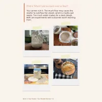 Sourdough Basics Booklet – Image 4