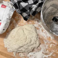 Your First Sourdough. Live Class with Kelly in Zoom – Image 3