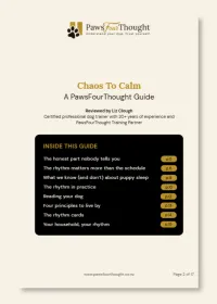 Chaos to Calm: The Daily Rhythm Framework for New Puppy Owners – Image 2