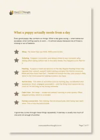 Chaos to Calm: The Daily Rhythm Framework for New Puppy Owners – Image 4