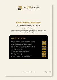 Same Time Tomorrow: The Daily Rhythm Framework for New Rescue Dog Owners – Image 2