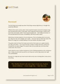 Same Time Tomorrow: The Daily Rhythm Framework for New Rescue Dog Owners – Image 3