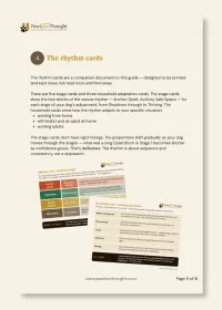 Same Time Tomorrow: The Daily Rhythm Framework for New Rescue Dog Owners – Image 5