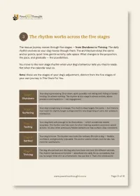 Same Time Tomorrow: The Daily Rhythm Framework for New Rescue Dog Owners – Image 4