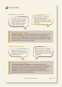 Puddles to Progress: Toilet Training Your New Puppy – Image 4