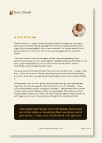 Puddles to Progress: Toilet Training Your New Puppy – Image 3
