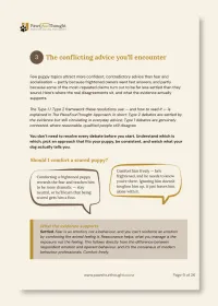 Fearful to Fearless: Socialisation and Confidence Work for Your New Puppy – Image 3