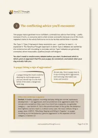 Nips to Nice: Bite Inhibition Training for Your New Puppy – Image 3
