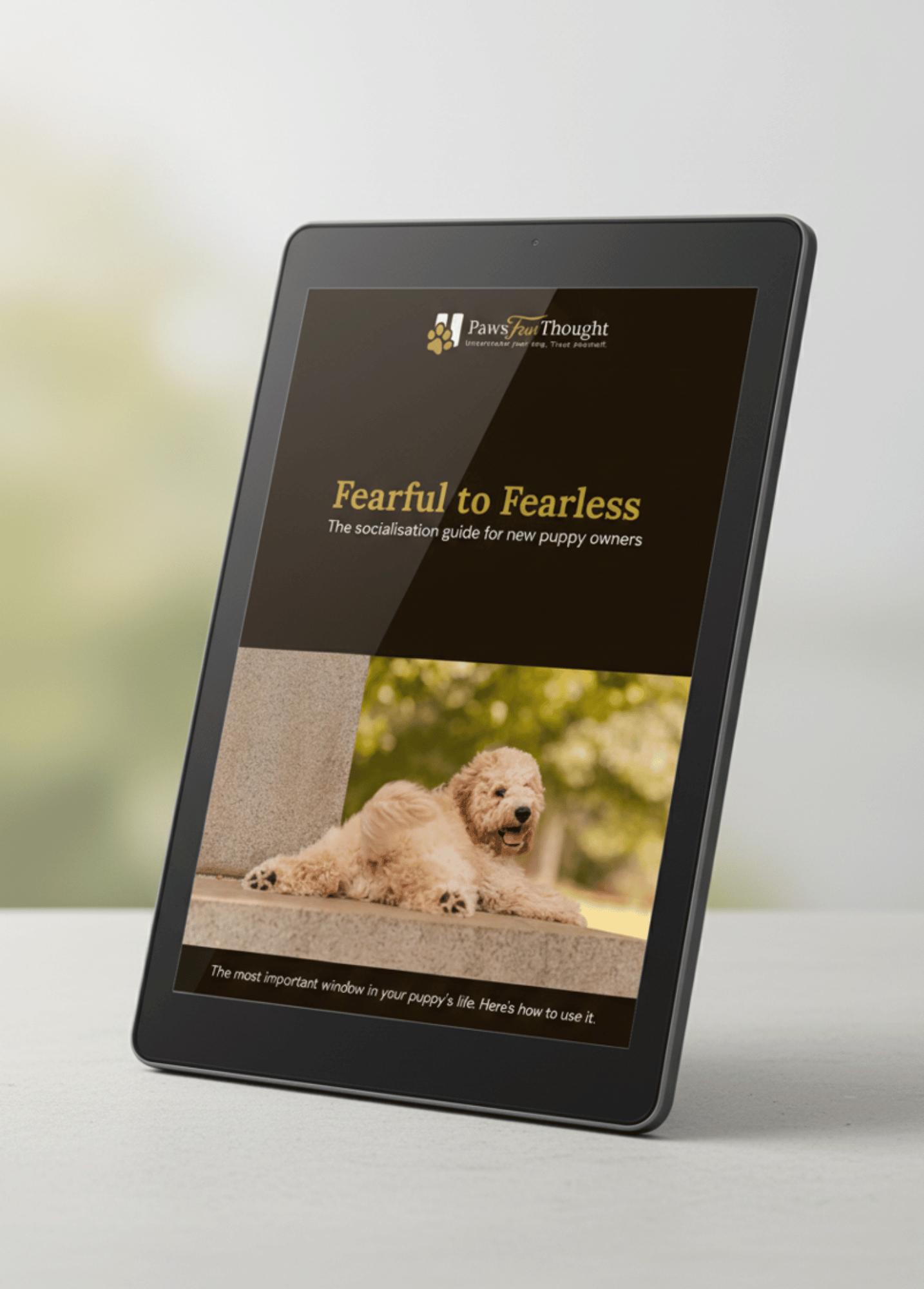 Fearful to Fearless: Socialisation and Confidence Work for Your New Puppy – Image 1